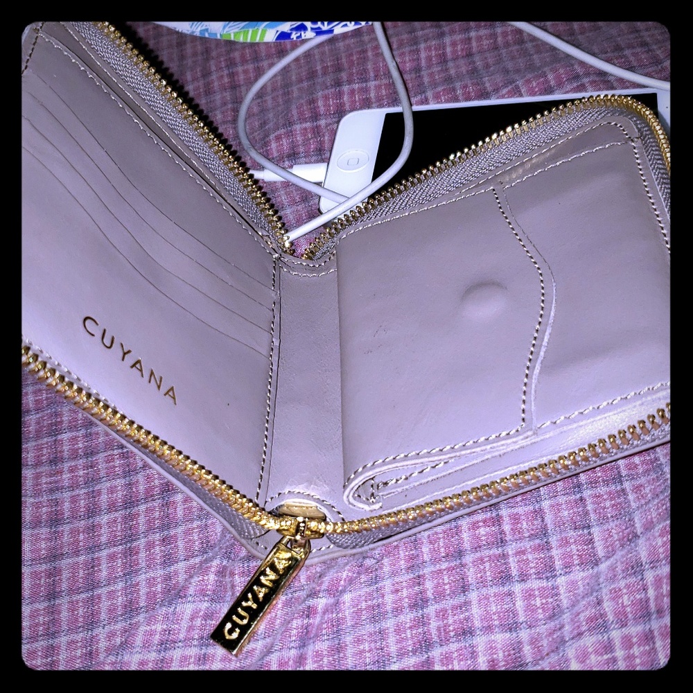 Cuyana zipper wallet